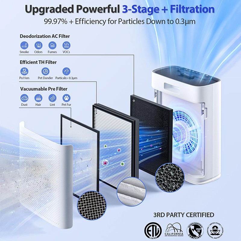 Pet Air Purifier Factory - HEPA Filter PM2.5 Display Sleep Mode Air Cleaner