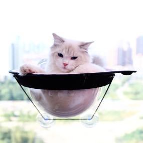 Cat Window Bed Factory - Strong Suction Summer Style Perch Hammock Bulk Supply