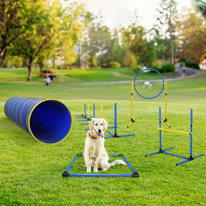 Dog Agility Equipment Supplier - Custom Tunnel Poles Hurdles Obstacle Course Set