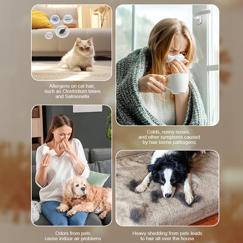 Home Air Purifier Manufacturer - HEPA Filter Pet Hair Odor Bedroom Air Cleaner