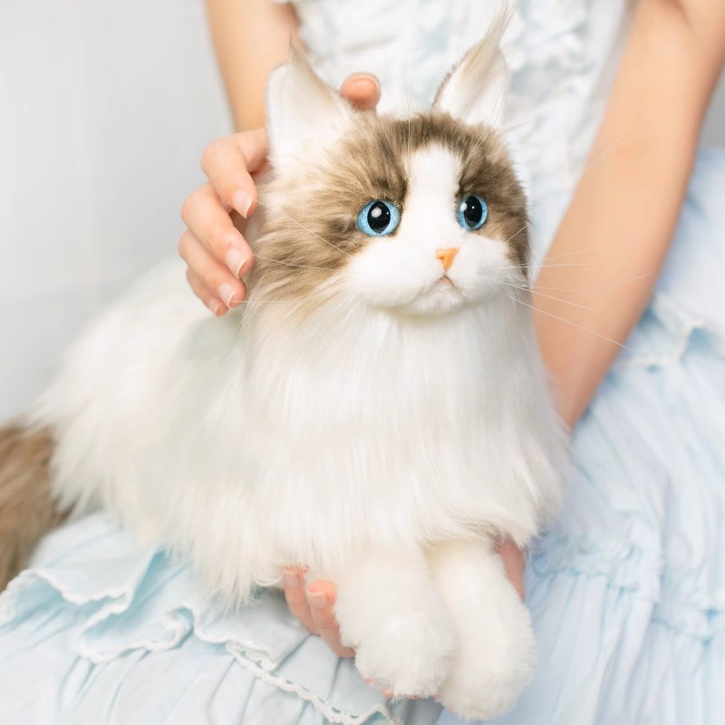 Cat Plush Toy Supplier - Super Simulation Sitting Kitten Animal Dolls Custom