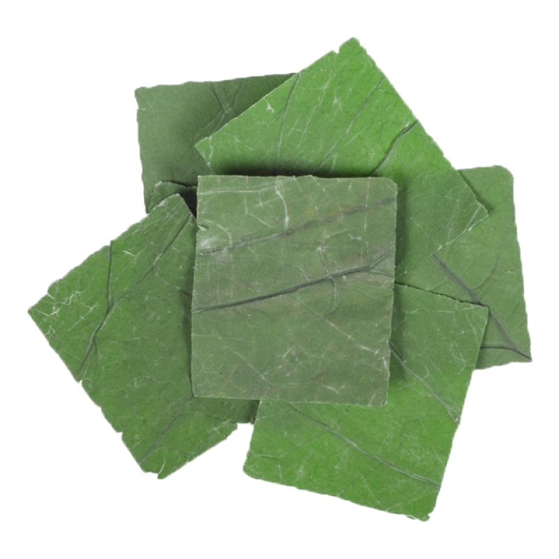 Detox Tea Manufacturer - Private Label Dried Lotus Herbal