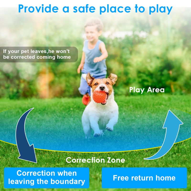 Pet Containment System Supplier - Radio Electric Hidden Fence