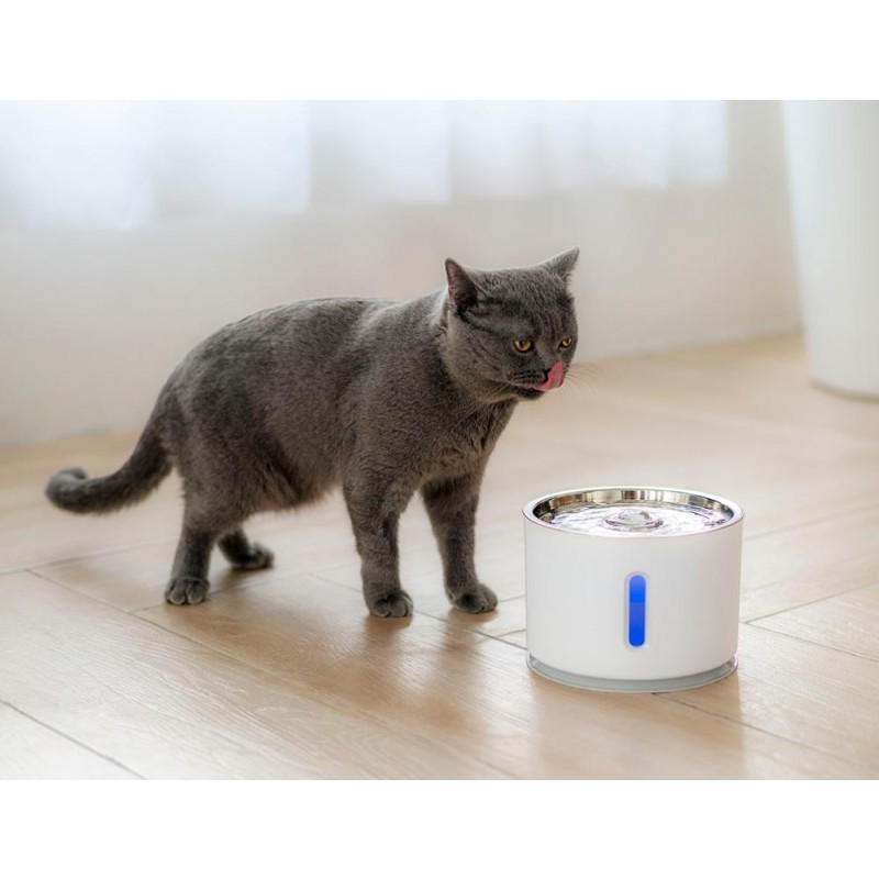 Pet Water Fountain Manufacturer - Stainless Steel Automatic Dispenser