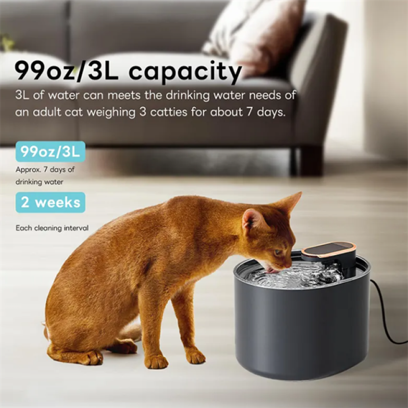 Electric Water Dispenser Supplier - Ultra Quiet Plastic Pet Bowl