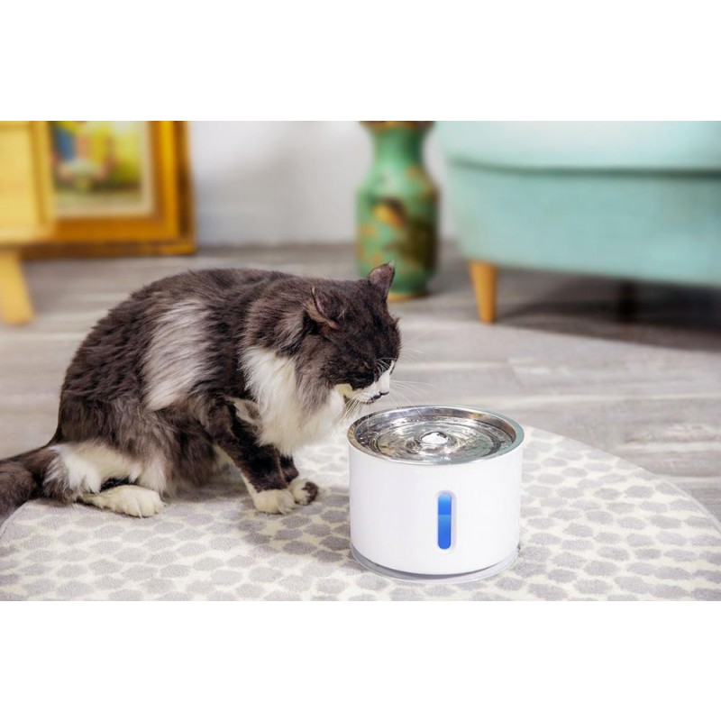 Pet Water Fountain Manufacturer - Stainless Steel Automatic Dispenser