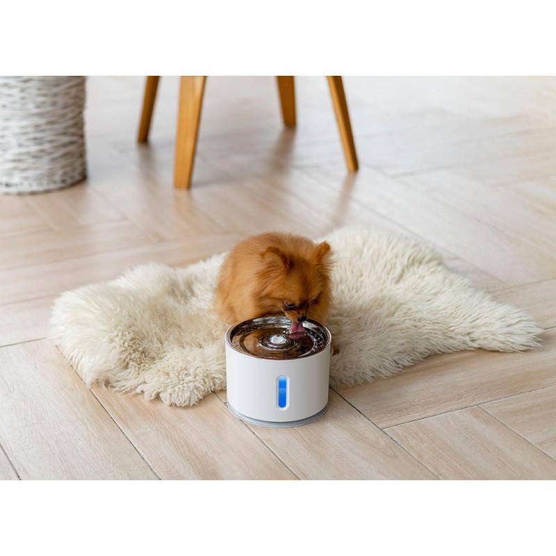 Pet Water Fountain Manufacturer - Stainless Steel Automatic Dispenser