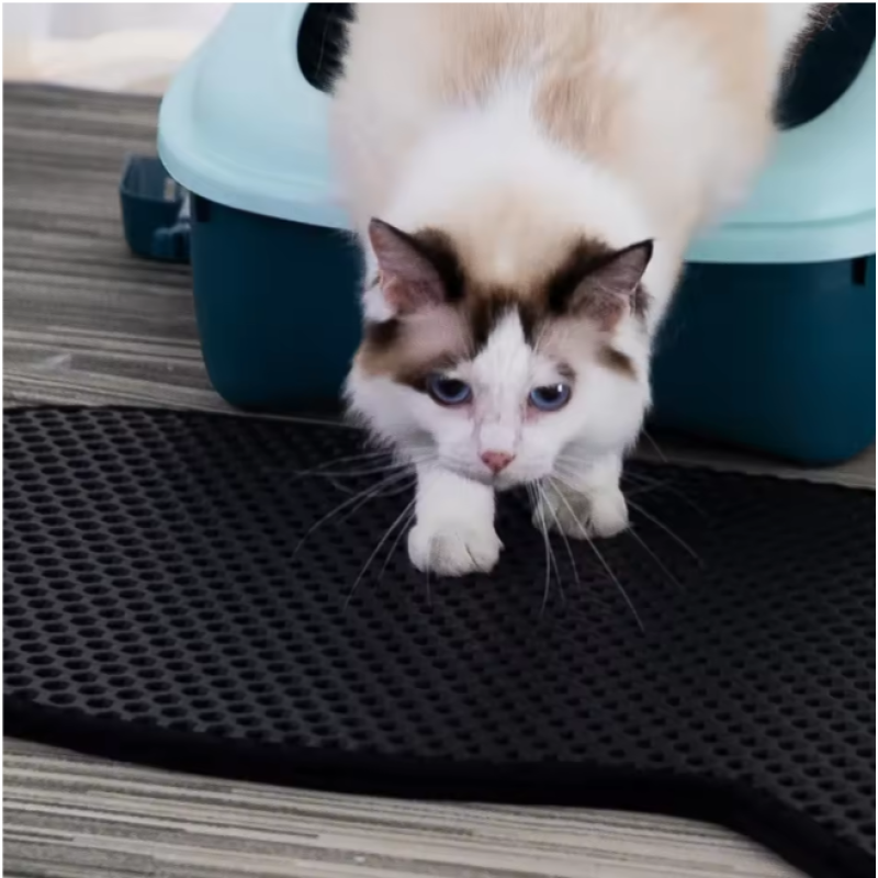 Pet Litter Mat Manufacturer - Double Layer Eva Urine Proof Non-Slip Trapper