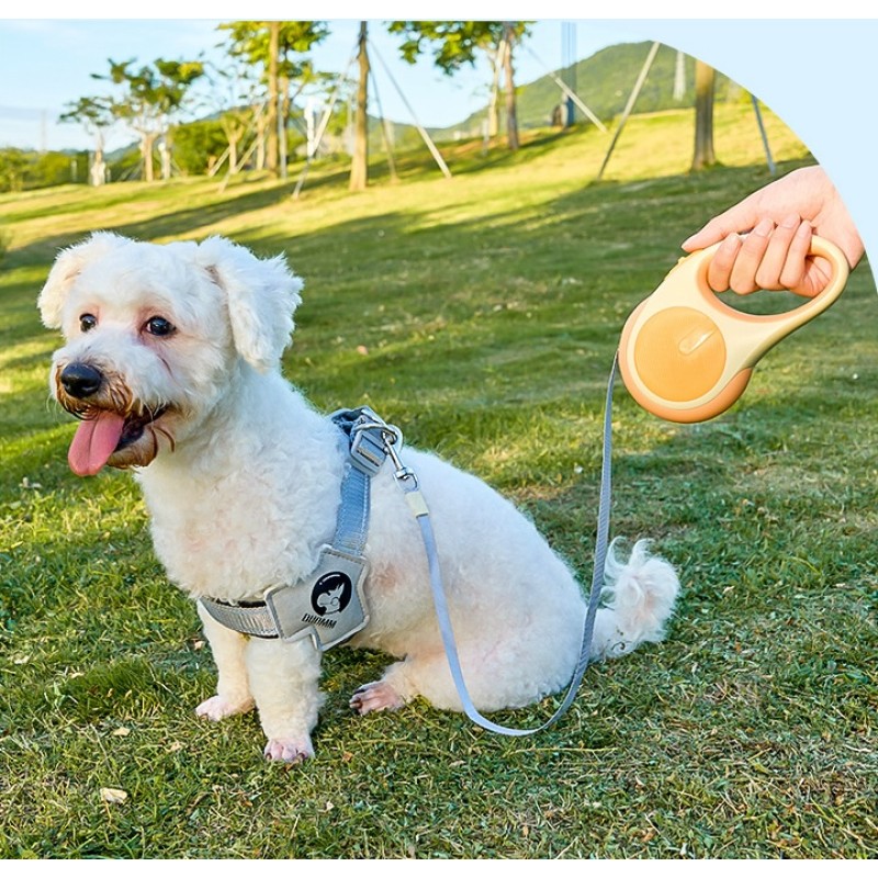 Retractable Dog Leash Supplier - 3m 5m Rechargeable LED Night Safety Light