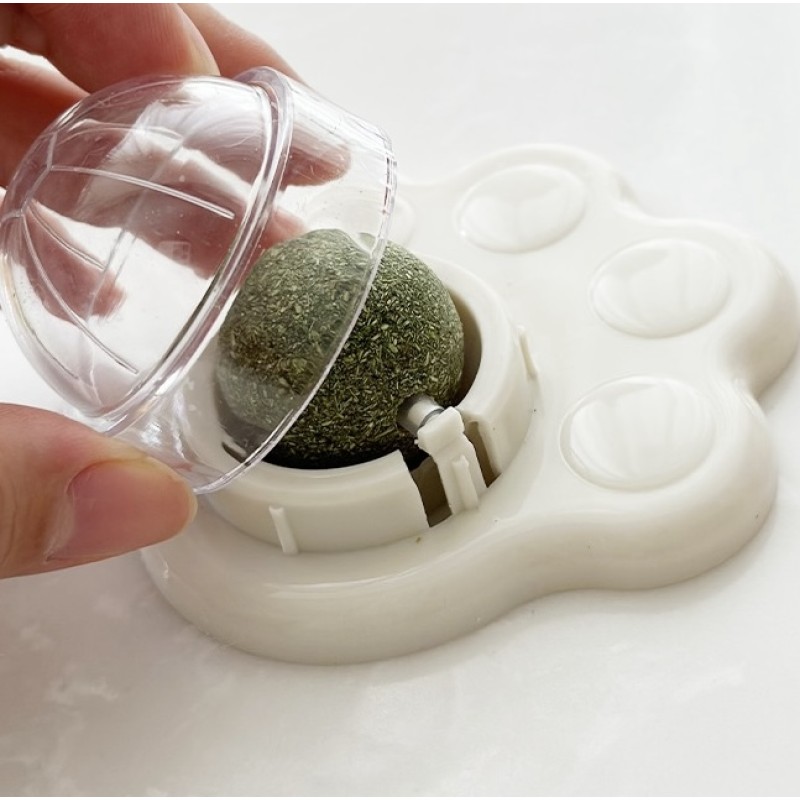 Cat Mint Ball Manufacturer - Sustainable Plastic Wall Catnip Licking Toy