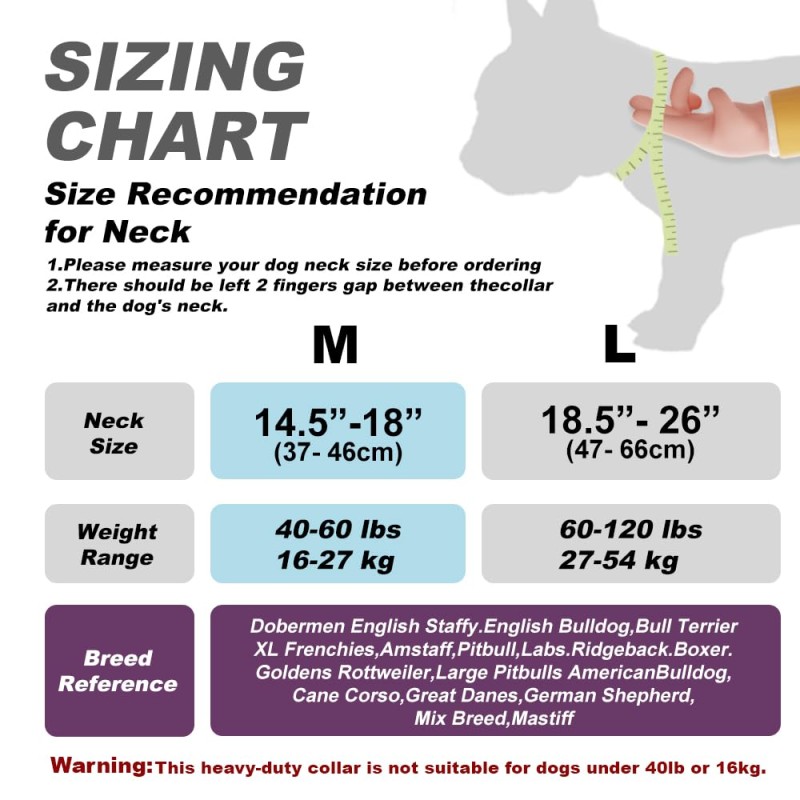 Dog Leash Factory - Quick Release Nylon Print Customized