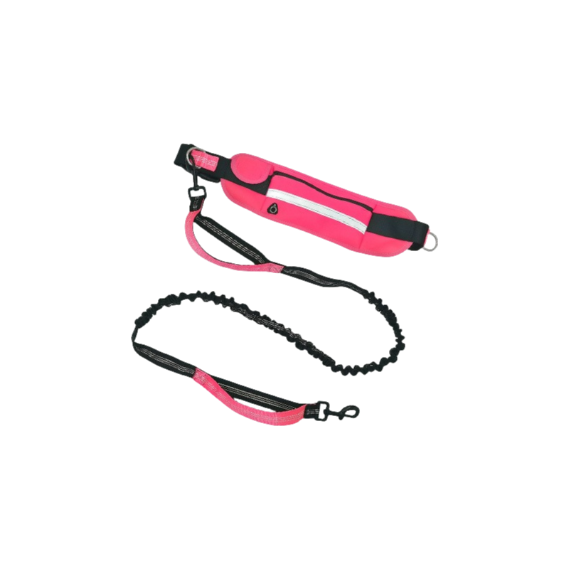 Bungee Dog Leash Supplier - Reflective Shock Absorbing Quick Release Carabiner