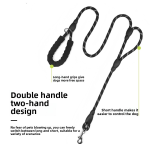 Pet Collars & Leashes