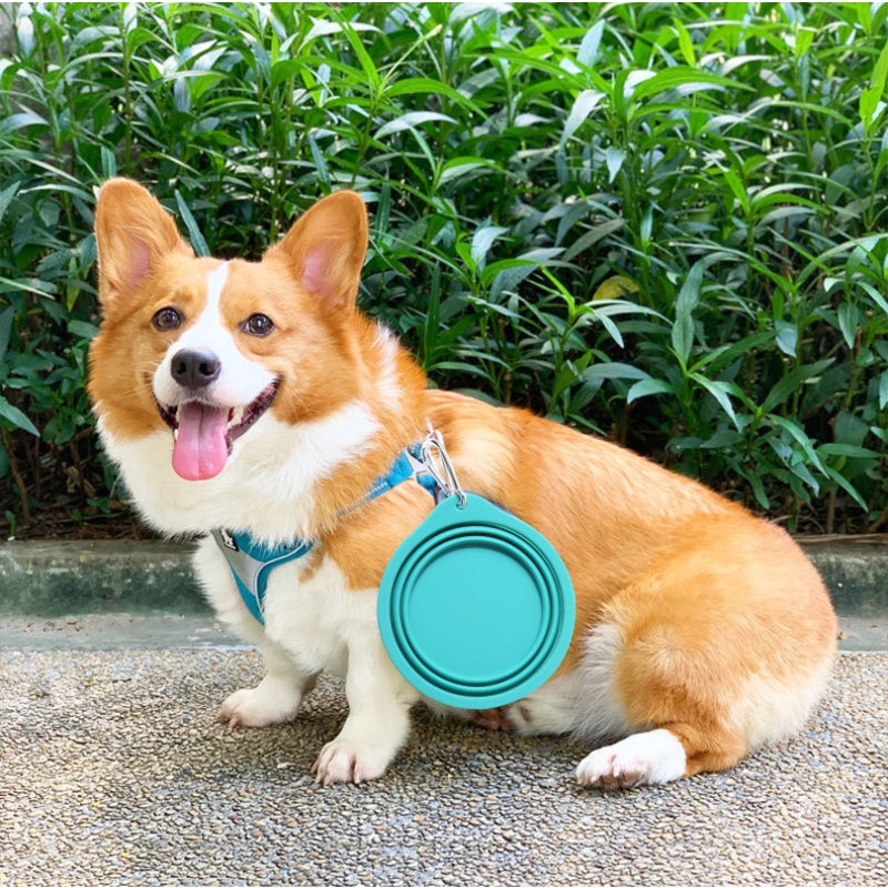 Dog Towel Factory - Quick Drying Microfiber Super Soft Pet Towel