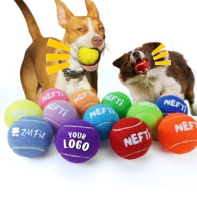 Pet Tennis Balls Supplier - Custom Logo Squeaky Training Balls Gift