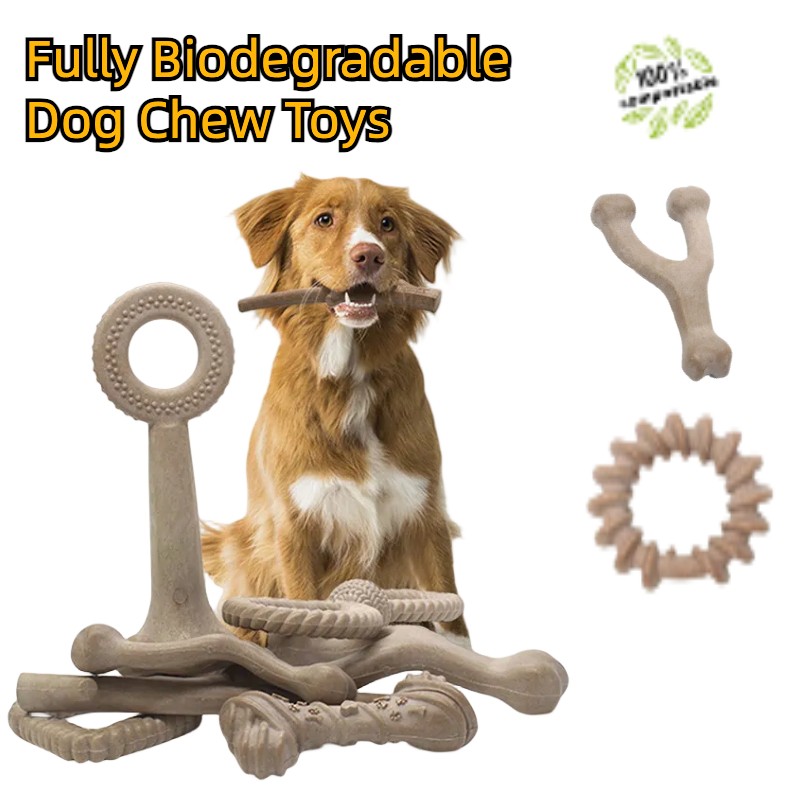 Biodegradable Dog Bones Supplier - Eco-Friendly Y-Bone Wishbone Aggressive Chewers