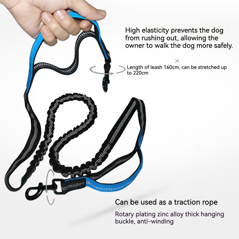 Bungee Dog Leash Supplier - Reflective Shock Absorbing Quick Release Carabiner