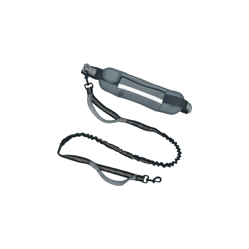 Bungee Dog Leash Supplier - Reflective Shock Absorbing Quick Release Carabiner