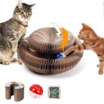Cat Toys