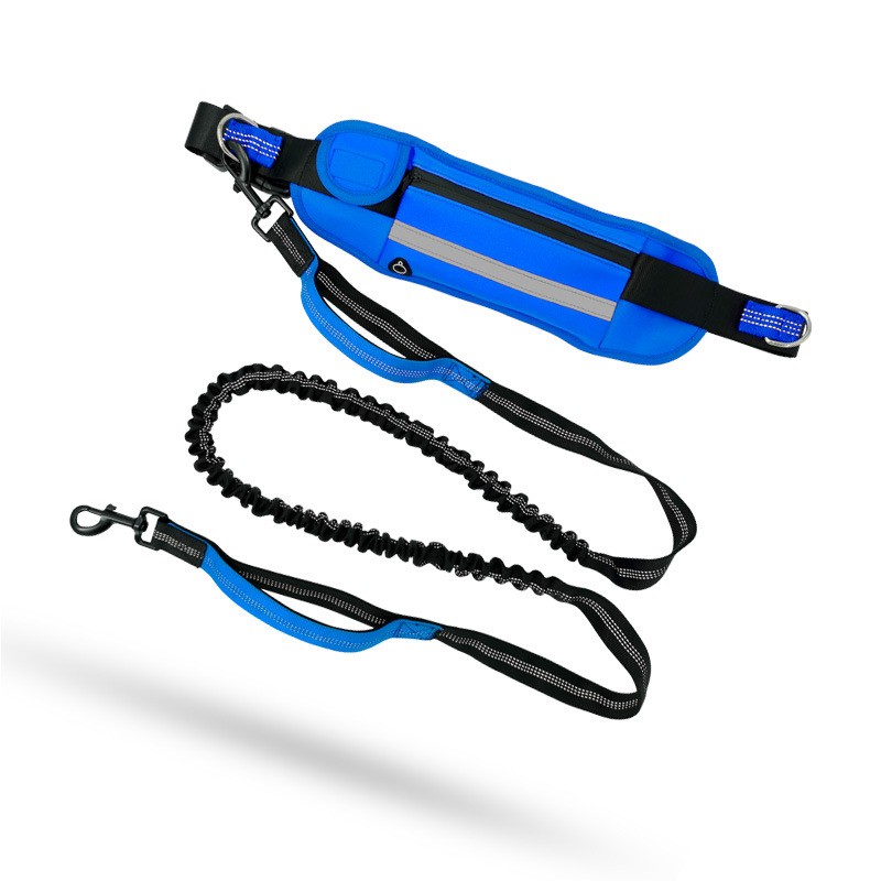Bungee Dog Leash Supplier - Reflective Shock Absorbing Quick Release Carabiner