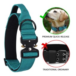 Kitten Collars Manufacturer - PVC Waterproof Washable Bell Anxiety Reducing