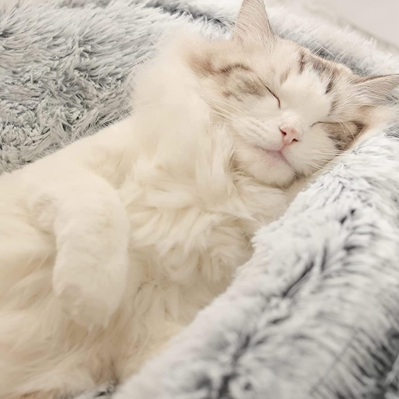 Christmas Pet Bed Manufacturer - Gift Box Style Warm Windproof Plush Cave