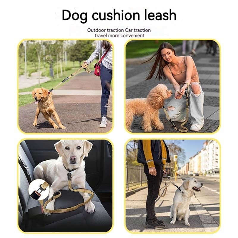Reflective Dog Leash Manufacturer - Nylon Polyester Explosion Proof Ribbon
