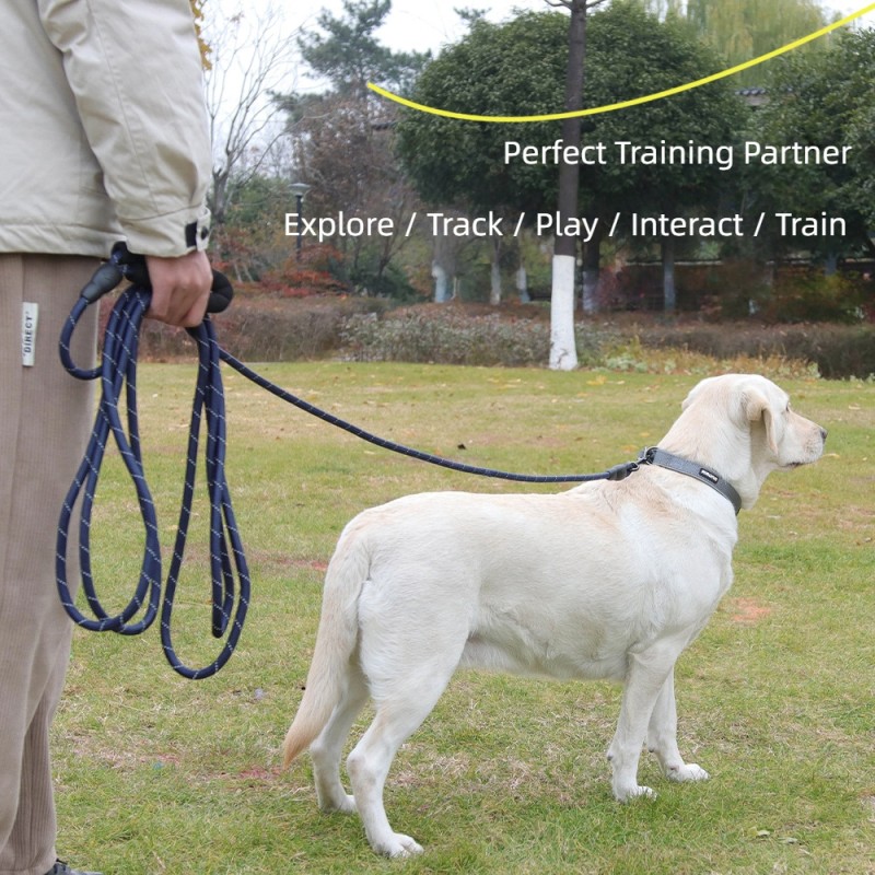 Cat Harness Supplier - Canvas Traction Rope Anti-Breakaway Breathable