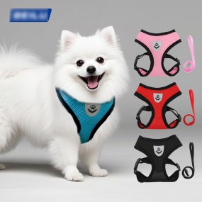Pet Harness Set Supplier - Leather Adjustable Outdoor Sports Lead