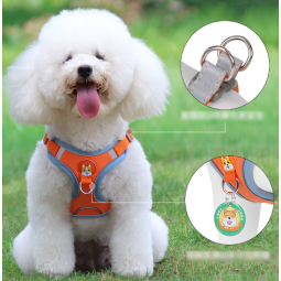Dog Harness Vest Manufacturer - Unique Design Soft No-Choke Walking Set