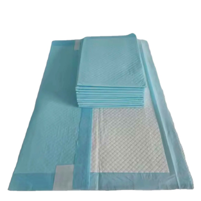 Pet Training Pads Supplier - Disposable 100 Pack Sleeping