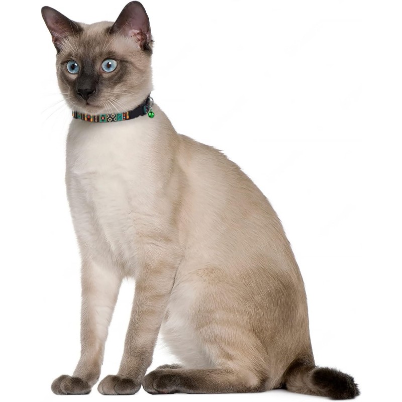 Cat Collar Manufacturer - Safety Breakaway Adjustable Bell