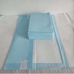 Pet Training Pads Manufacturer - Disposable 100 Pack Toilet