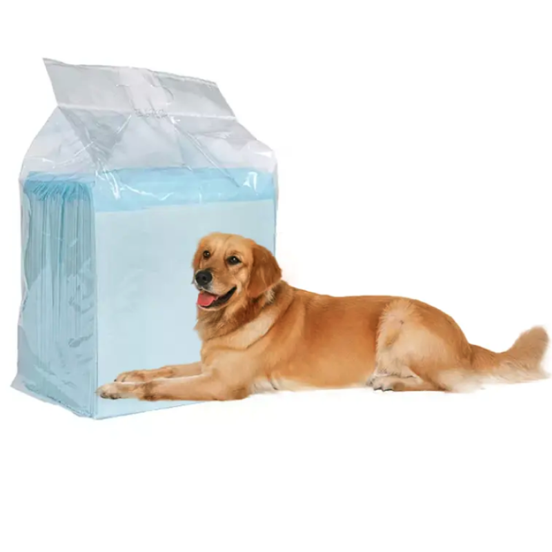 Pet Training Pads Supplier - Disposable 100 Pack Sleeping