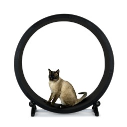 Cat Running Machine Supplier - Silent PP Indoor Exercise Wheel Scratch