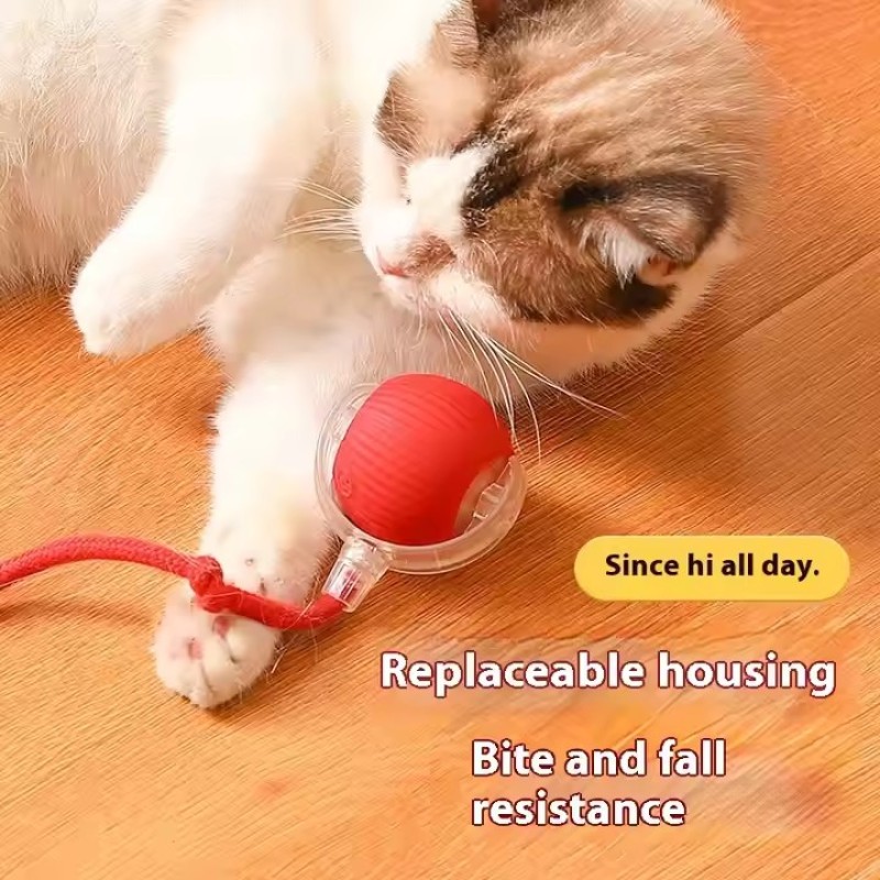 Smart Cat Toys Supplier - Interactive Rolling Carpet Indestructable Tail