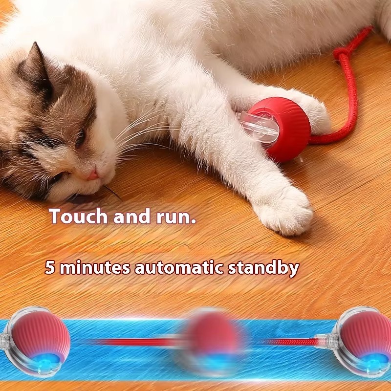 Smart Cat Toys Supplier - Interactive Rolling Carpet Indestructable Tail