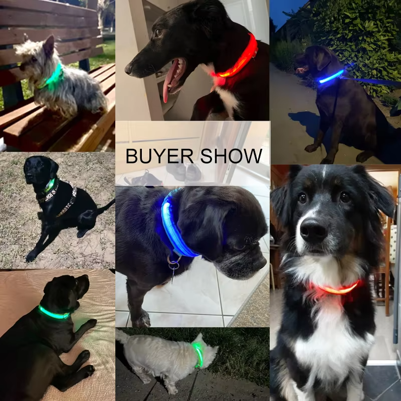 LED Dog Collar Manufacturer - Adjustable Flash Rechargeable Reflective