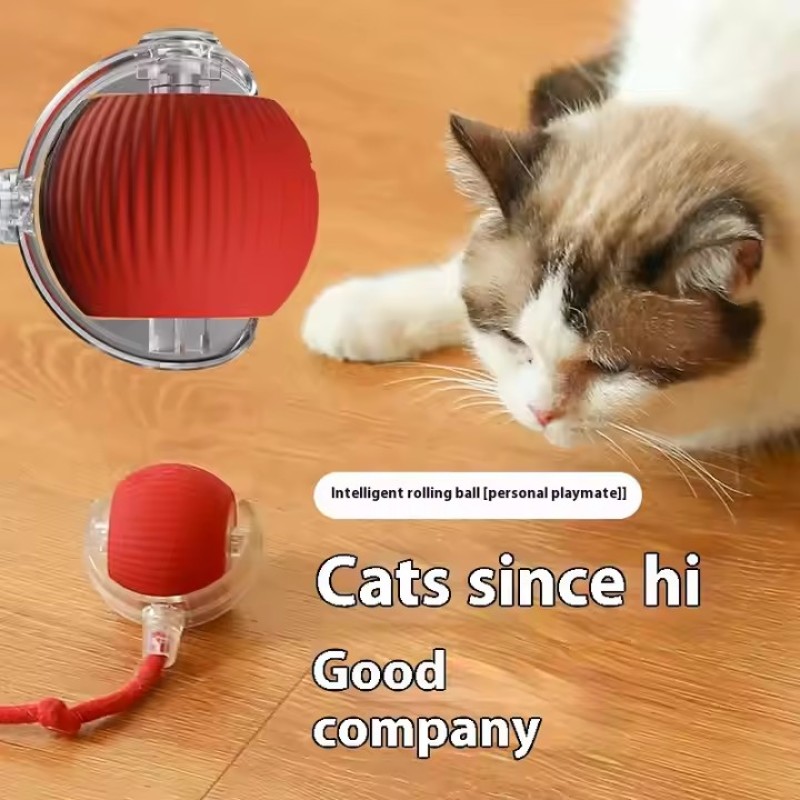 Smart Cat Toys Supplier - Interactive Rolling Carpet Indestructable Tail