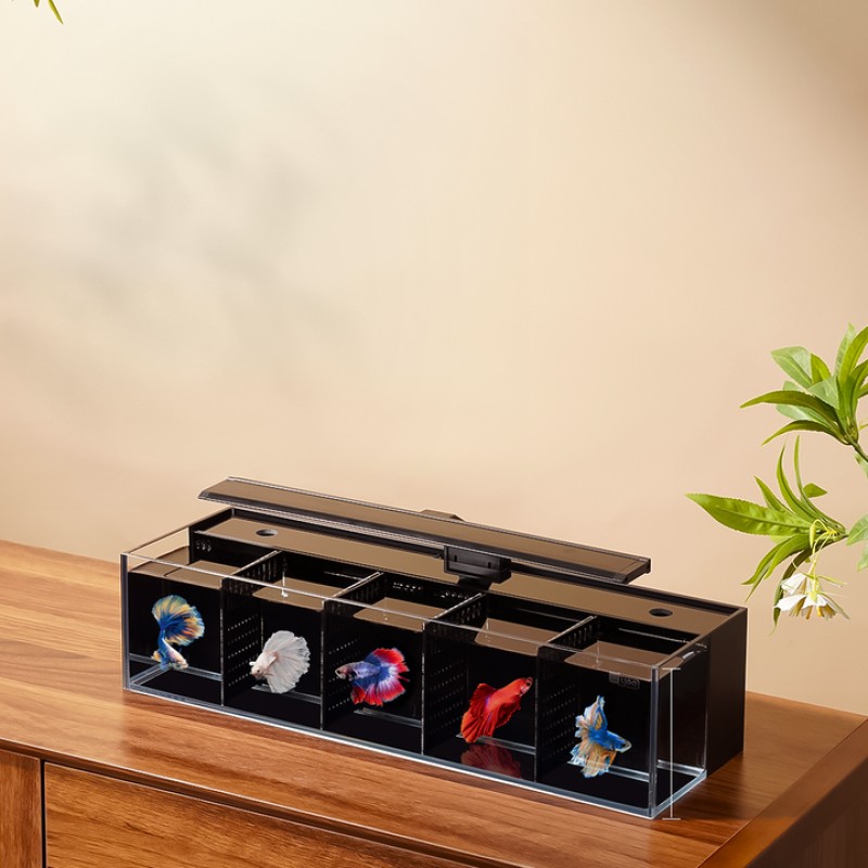 Fish Tank Manufacturer - Modular Self-Cleaning Glass Zoned Aquarium