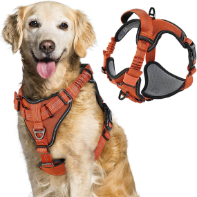 Dog Harness Supplier - Easy Install No Pull Soft Padded
