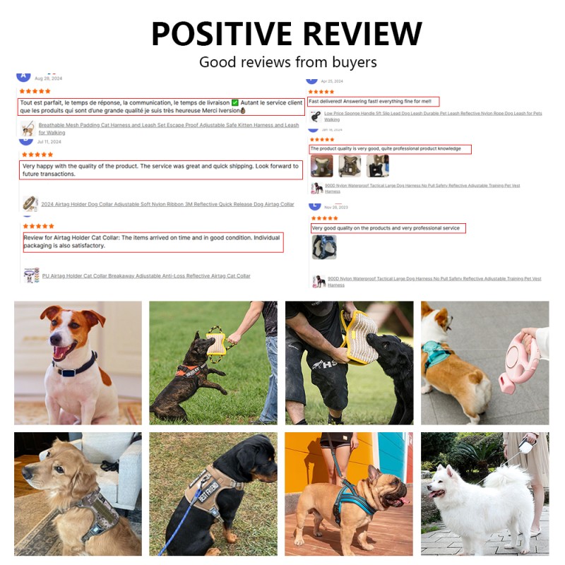 Dog Leash Factory - Soft Handle 5ft Slip Lead Nylon