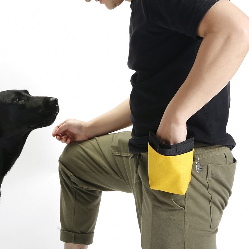 Dog Walking Pouch Factory - Reusable Magnetic Closure Snack