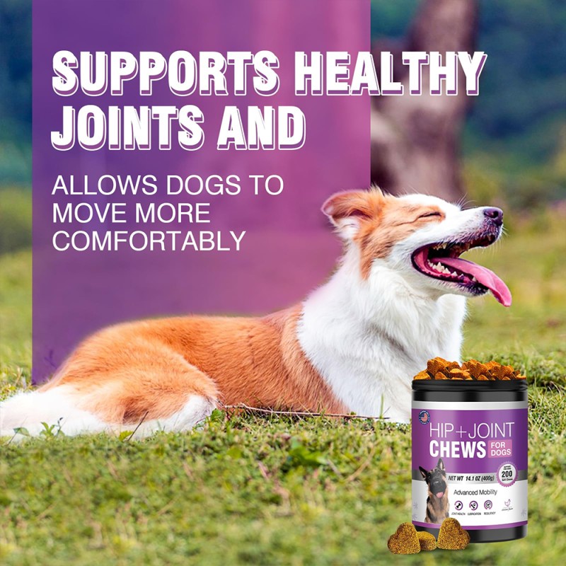 Pet Glucosamine Supplier - 200-Count Chewable Tablets Mobility