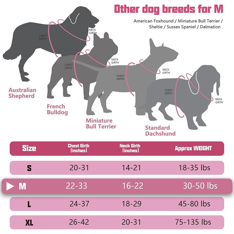 Dog Harness Supplier - Custom Logo Nylon Tactical No Pull