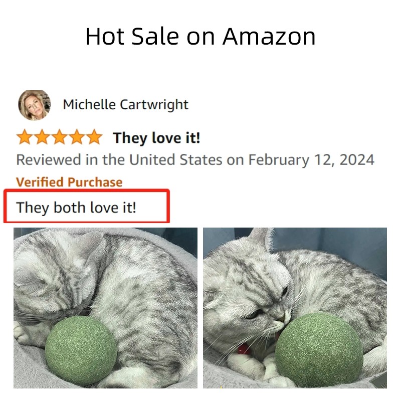 Cat Training Toy Supplier - Super Big Gall Fruit Catnip Ball