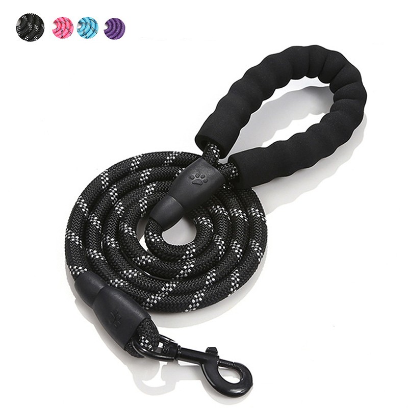 Dog Leash Factory - Soft Handle 5ft Slip Lead Nylon