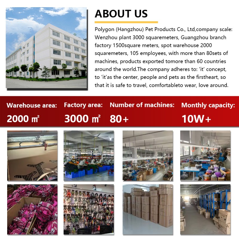 Dog Leash Factory - Soft Handle 5ft Slip Lead Nylon