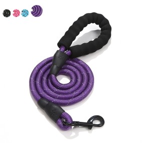Dog Leash Manufacturer - Reflective Training Nylon Slip Rope