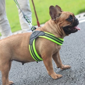Dog Harness Set Supplier - Adjustable Waterproof PU Leather